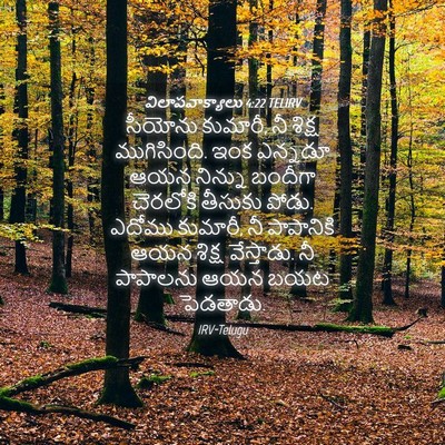 Picture 04 - విలాపవాక్యాలు 4:22 TELIRV - సీయోను కుమారీ, నీ - Bible Verse Picture