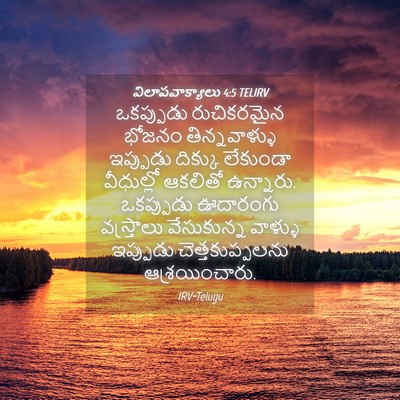 Picture 04 - విలాపవాక్యాలు 4:5 TELIRV - ఒకప్పుడు - Bible Verse Picture