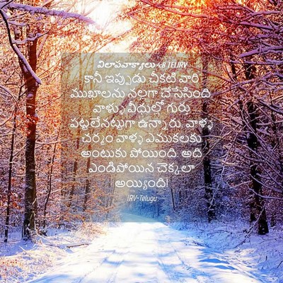 Picture 04 - విలాపవాక్యాలు 4:8 TELIRV - కానీ ఇప్పుడు - Bible Verse Picture