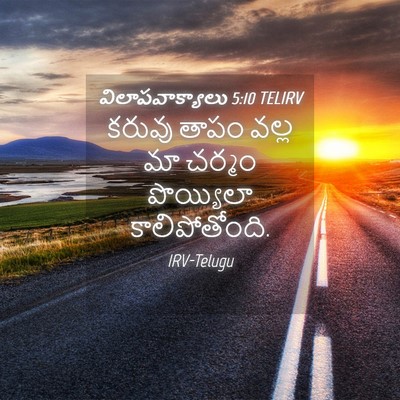 Picture 04 - విలాపవాక్యాలు 5:10 TELIRV - కరువు తాపం వల్ల మా - Bible Verse Picture