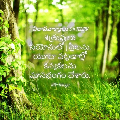 Picture 04 - విలాపవాక్యాలు 5:11 TELIRV - శత్రువులు - Bible Verse Picture