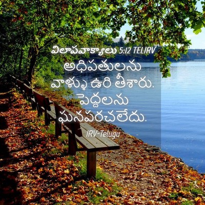 Picture 04 - విలాపవాక్యాలు 5:12 TELIRV - అధిపతులను వాళ్ళు - Bible Verse Picture