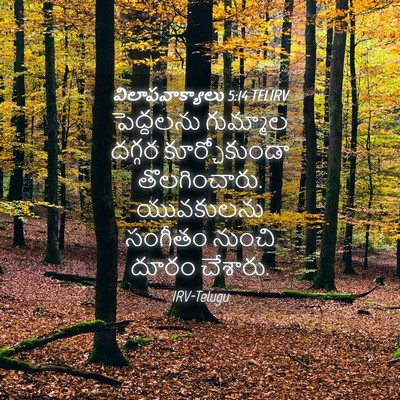 Picture 04 - విలాపవాక్యాలు 5:14 TELIRV - పెద్దలను గుమ్మాల - Bible Verse Picture