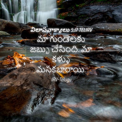 Picture 04 - విలాపవాక్యాలు 5:17 TELIRV - మా గుండెలకు జబ్బు - Bible Verse Picture