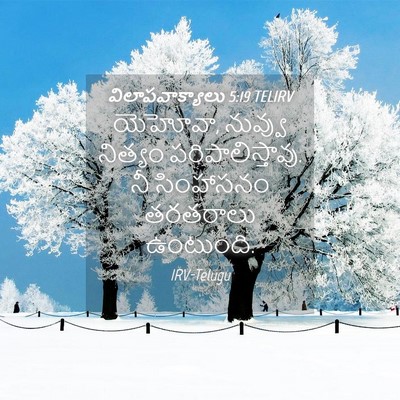 Picture 04 - విలాపవాక్యాలు 5:19 TELIRV - యెహోవా, నువ్వు - Bible Verse Picture