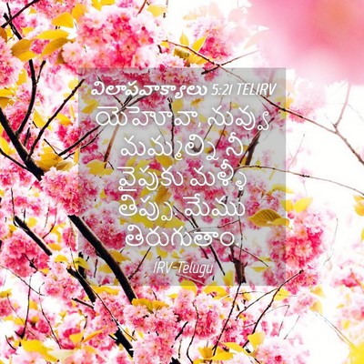 Picture 04 - విలాపవాక్యాలు 5:21 TELIRV - యెహోవా, నువ్వు - Bible Verse Picture