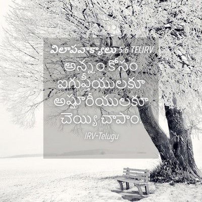 Picture 04 - విలాపవాక్యాలు 5:6 TELIRV - అన్నం కోసం - Bible Verse Picture