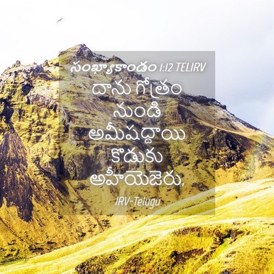 Picture 04 - సంఖ్యాకాండం 1:12 TELIRV - దాను గోత్రం నుండి - Bible Verse Picture