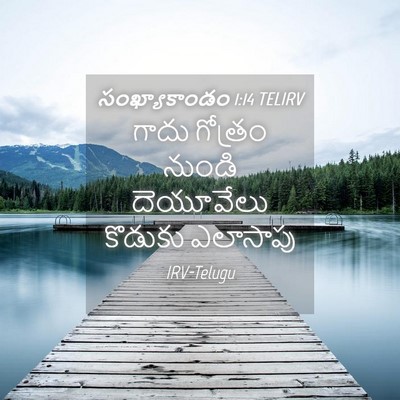 Picture 04 - సంఖ్యాకాండం 1:14 TELIRV - గాదు గోత్రం నుండి - Bible Verse Picture