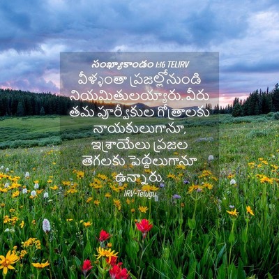 Picture 04 - సంఖ్యాకాండం 1:16 TELIRV - వీళ్ళంతా - Bible Verse Picture