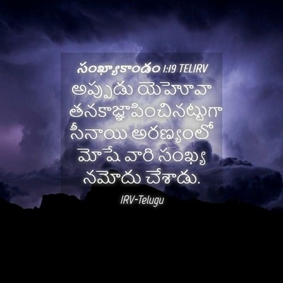 Picture 04 - సంఖ్యాకాండం 1:19 TELIRV - అప్పుడు యెహోవా - Bible Verse Picture