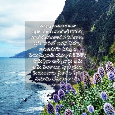 Picture 04 - సంఖ్యాకాండం 1:20 TELIRV - ఇశ్రాయేలు మొదటి - Bible Verse Picture