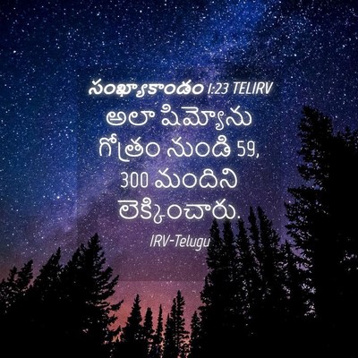 Picture 04 - సంఖ్యాకాండం 1:23 TELIRV - అలా షిమ్యోను - Bible Verse Picture