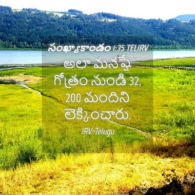 Picture 04 - సంఖ్యాకాండం 1:35 TELIRV - అలా మనష్షే గోత్రం - Bible Verse Picture