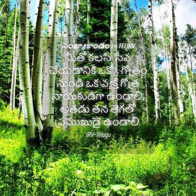 Picture 04 - సంఖ్యాకాండం 1:4 TELIRV - మీతో కలసి సేవ - Bible Verse Picture