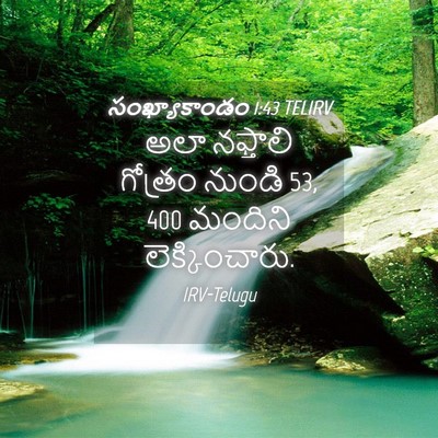 Picture 04 - సంఖ్యాకాండం 1:43 TELIRV - అలా నఫ్తాలి - Bible Verse Picture