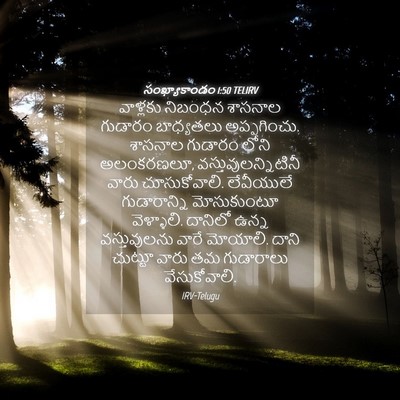 Picture 04 - సంఖ్యాకాండం 1:50 TELIRV - వాళ్లకు నిబంధన - Bible Verse Picture