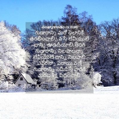 Picture 04 - సంఖ్యాకాండం 1:51 TELIRV - గుడారాన్ని మరో - Bible Verse Picture