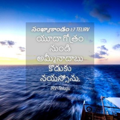 Picture 04 - సంఖ్యాకాండం 1:7 TELIRV - యూదా గోత్రం నుండి - Bible Verse Picture