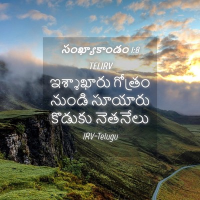 Picture 04 - సంఖ్యాకాండం 1:8 TELIRV - ఇశ్శాఖారు గోత్రం - Bible Verse Picture
