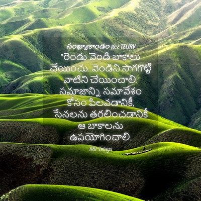 Picture 04 - సంఖ్యాకాండం 10:2 TELIRV - “రెండు వెండి - Bible Verse Picture