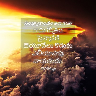 Picture 04 - సంఖ్యాకాండం 10:20 TELIRV - గాదు గోత్రం - Bible Verse Picture