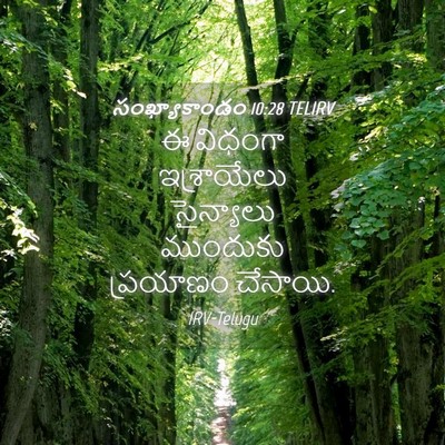 Picture 04 - సంఖ్యాకాండం 10:28 TELIRV - ఈ విధంగా - Bible Verse Picture