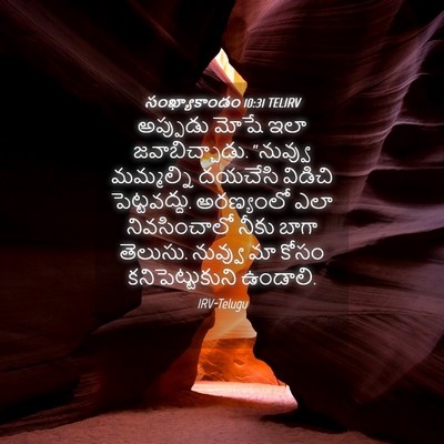 Picture 04 - సంఖ్యాకాండం 10:31 TELIRV - అప్పుడు మోషే ఇలా - Bible Verse Picture