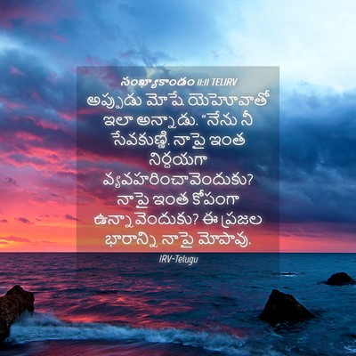 Picture 04 - సంఖ్యాకాండం 11:11 TELIRV - అప్పుడు మోషే - Bible Verse Picture