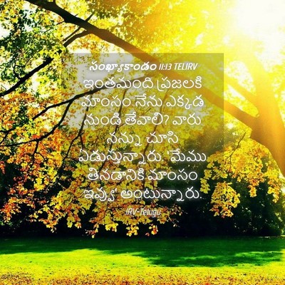 Picture 04 - సంఖ్యాకాండం 11:13 TELIRV - ఇంతమంది ప్రజలకి - Bible Verse Picture