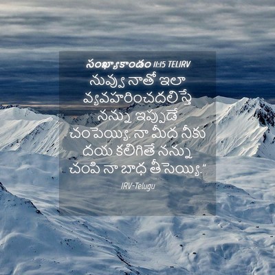 Picture 04 - సంఖ్యాకాండం 11:15 TELIRV - నువ్వు నాతో ఇలా - Bible Verse Picture