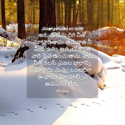 Picture 04 - సంఖ్యాకాండం 11:17 TELIRV - అక్కడ నేను దిగి - Bible Verse Picture