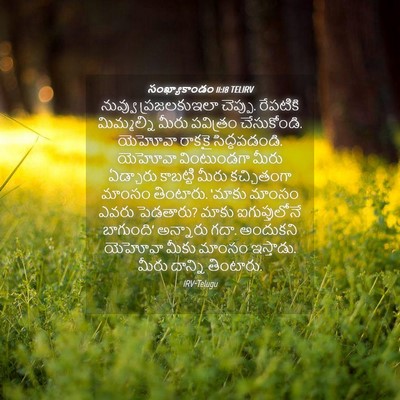 Picture 04 - సంఖ్యాకాండం 11:18 TELIRV - నువ్వు ప్రజలకుఇలా - Bible Verse Picture