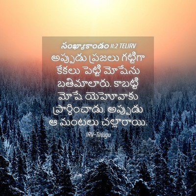 Picture 04 - సంఖ్యాకాండం 11:2 TELIRV - అప్పుడు ప్రజలు - Bible Verse Picture