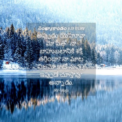 Picture 04 - సంఖ్యాకాండం 11:23 TELIRV - అప్పుడు యెహోవా - Bible Verse Picture