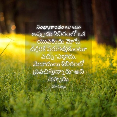 Picture 04 - సంఖ్యాకాండం 11:27 TELIRV - అప్పుడు శిబిరంలో - Bible Verse Picture