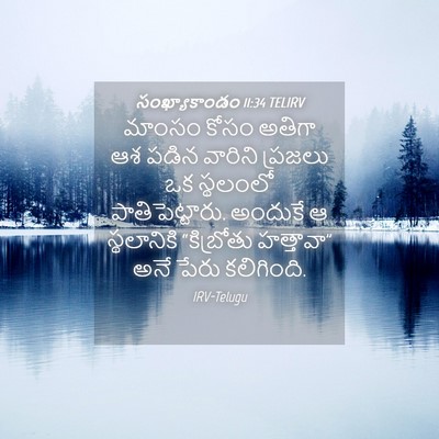 Picture 04 - సంఖ్యాకాండం 11:34 TELIRV - మాంసం కోసం అతిగా - Bible Verse Picture