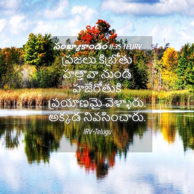 Picture 04 - సంఖ్యాకాండం 11:35 TELIRV - ప్రజలు కిబ్రోతు - Bible Verse Picture