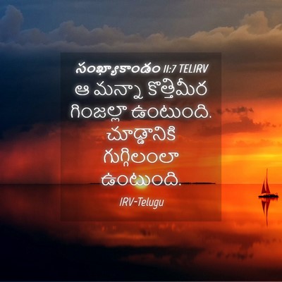 Picture 04 - సంఖ్యాకాండం 11:7 TELIRV - ఆ మన్నా కొత్తిమీర - Bible Verse Picture