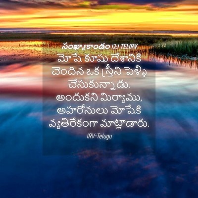 Picture 04 - సంఖ్యాకాండం 12:1 TELIRV - మోషే కూషు - Bible Verse Picture