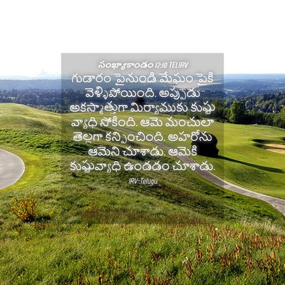 Picture 04 - సంఖ్యాకాండం 12:10 TELIRV - గుడారం పైనుండి - Bible Verse Picture