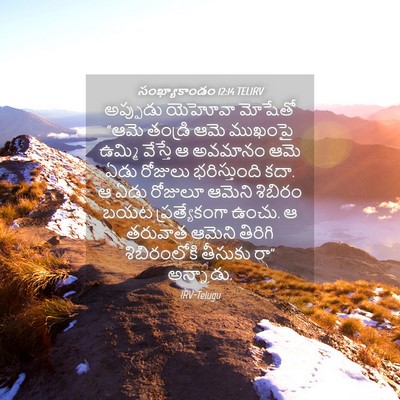 Picture 04 - సంఖ్యాకాండం 12:14 TELIRV - అప్పుడు యెహోవా - Bible Verse Picture