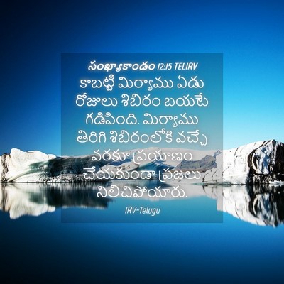 Picture 04 - సంఖ్యాకాండం 12:15 TELIRV - కాబట్టి మిర్యాము - Bible Verse Picture