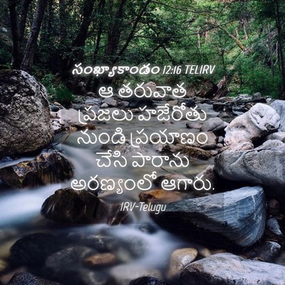 Picture 04 - సంఖ్యాకాండం 12:16 TELIRV - ఆ తరువాత ప్రజలు - Bible Verse Picture