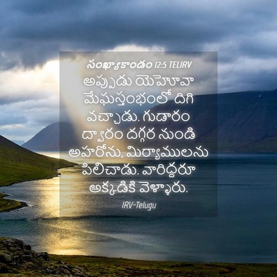 Picture 04 - సంఖ్యాకాండం 12:5 TELIRV - అప్పుడు యెహోవా - Bible Verse Picture