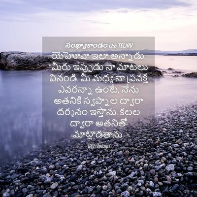 Picture 04 - సంఖ్యాకాండం 12:6 TELIRV - యెహోవా ఇలా - Bible Verse Picture