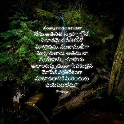 Picture 04 - సంఖ్యాకాండం 12:8 TELIRV - నేను అతనితో - Bible Verse Picture