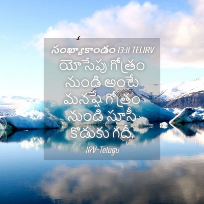 Picture 04 - సంఖ్యాకాండం 13:11 TELIRV - యోసేపు గోత్రం - Bible Verse Picture