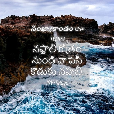 Picture 04 - సంఖ్యాకాండం 13:14 TELIRV - నఫ్తాలి గోత్రం - Bible Verse Picture