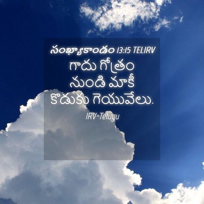 Picture 04 - సంఖ్యాకాండం 13:15 TELIRV - గాదు గోత్రం నుండి - Bible Verse Picture